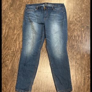 D. Jeans - Size 20 Medium Wash Skinny Jeans NWOT